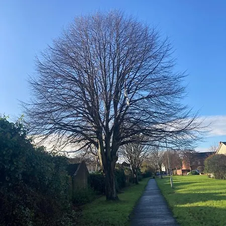 Entire Terraced Two Story Redbrick House With Parking In Secluded Cul De Sac *