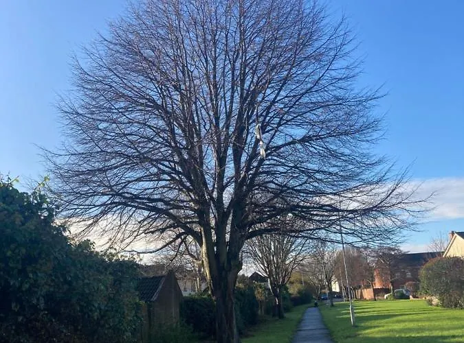 Entire Terraced Two Story Redbrick House With Parking In Secluded Cul De Sac *