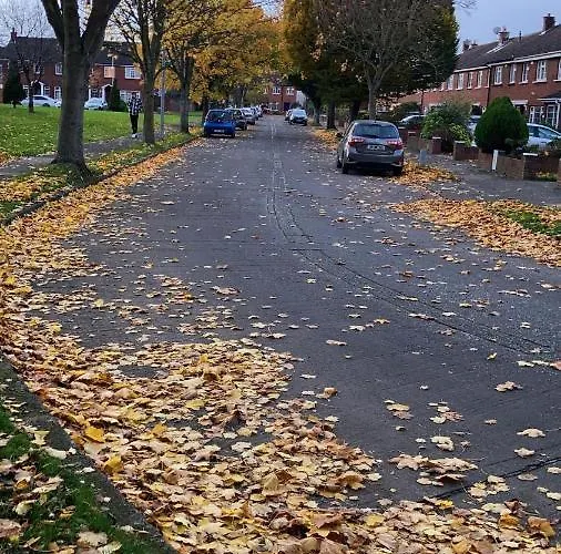 Entire Terraced Two Story Redbrick House With Parking In Secluded Cul De Sac * Dublin